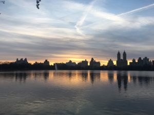The Best Running Routes in NYC