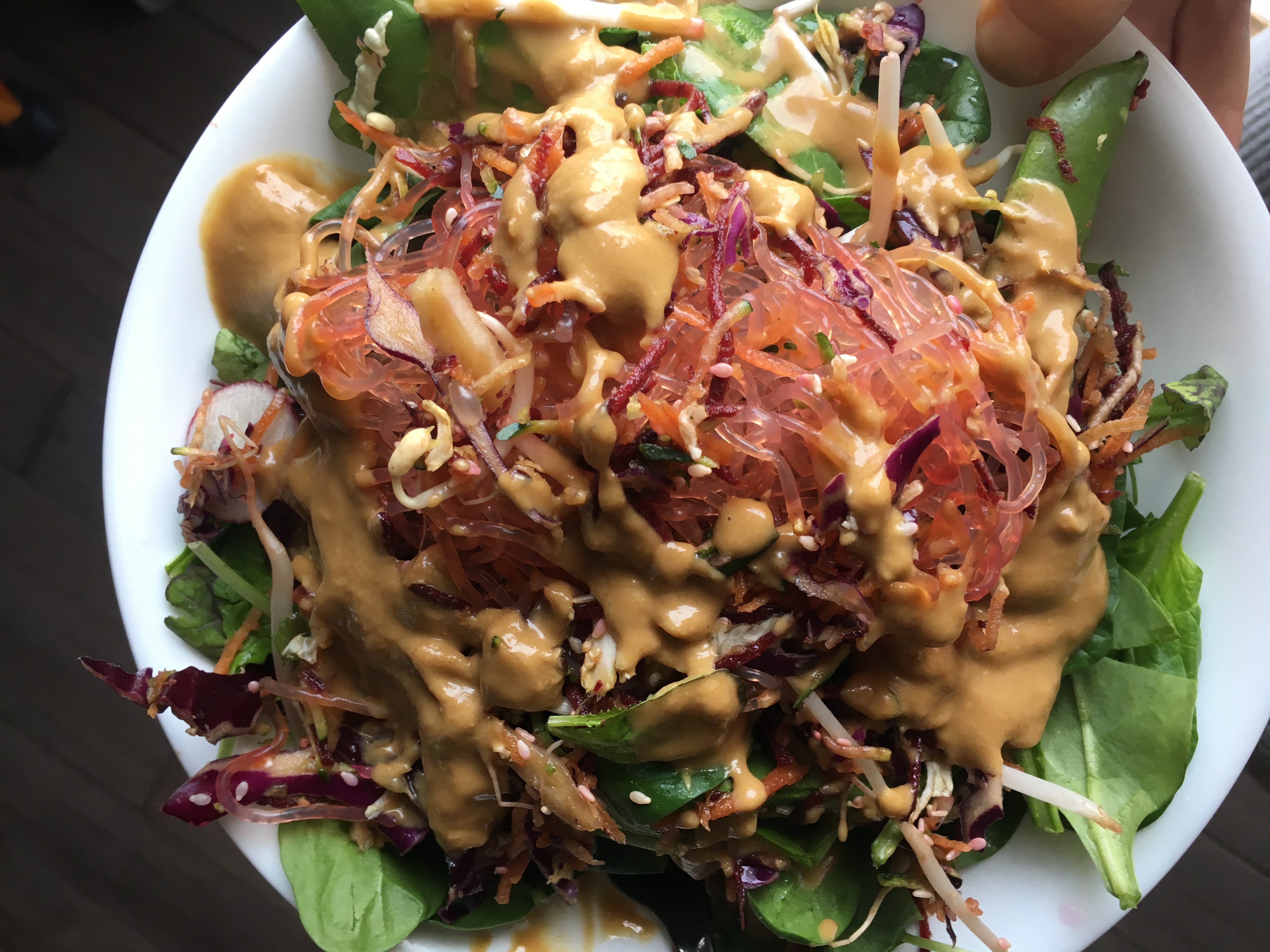 sakara life review